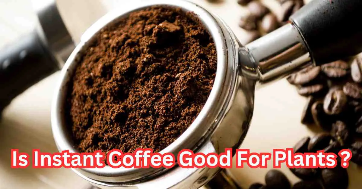 Is Instant Coffee Good For Plants? Is it have nutritional values or chemical which benefits plants.